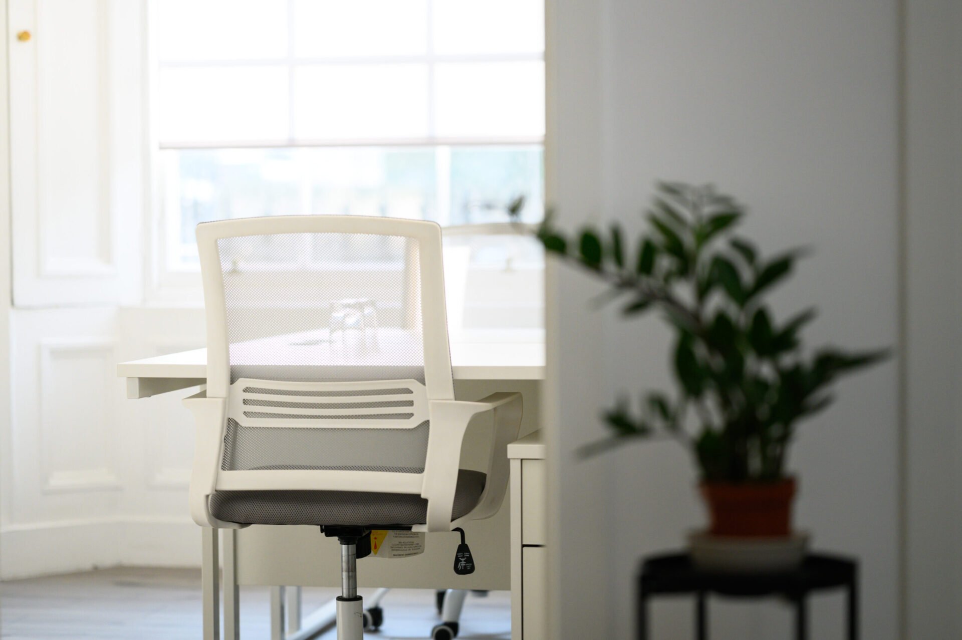 A modern office setting featuring a white desk chair with a mesh backrest in front of a desk. A potted plant in a black stand is in the foreground, and a window with blinds lets in natural light. The atmosphere is bright and minimalist.