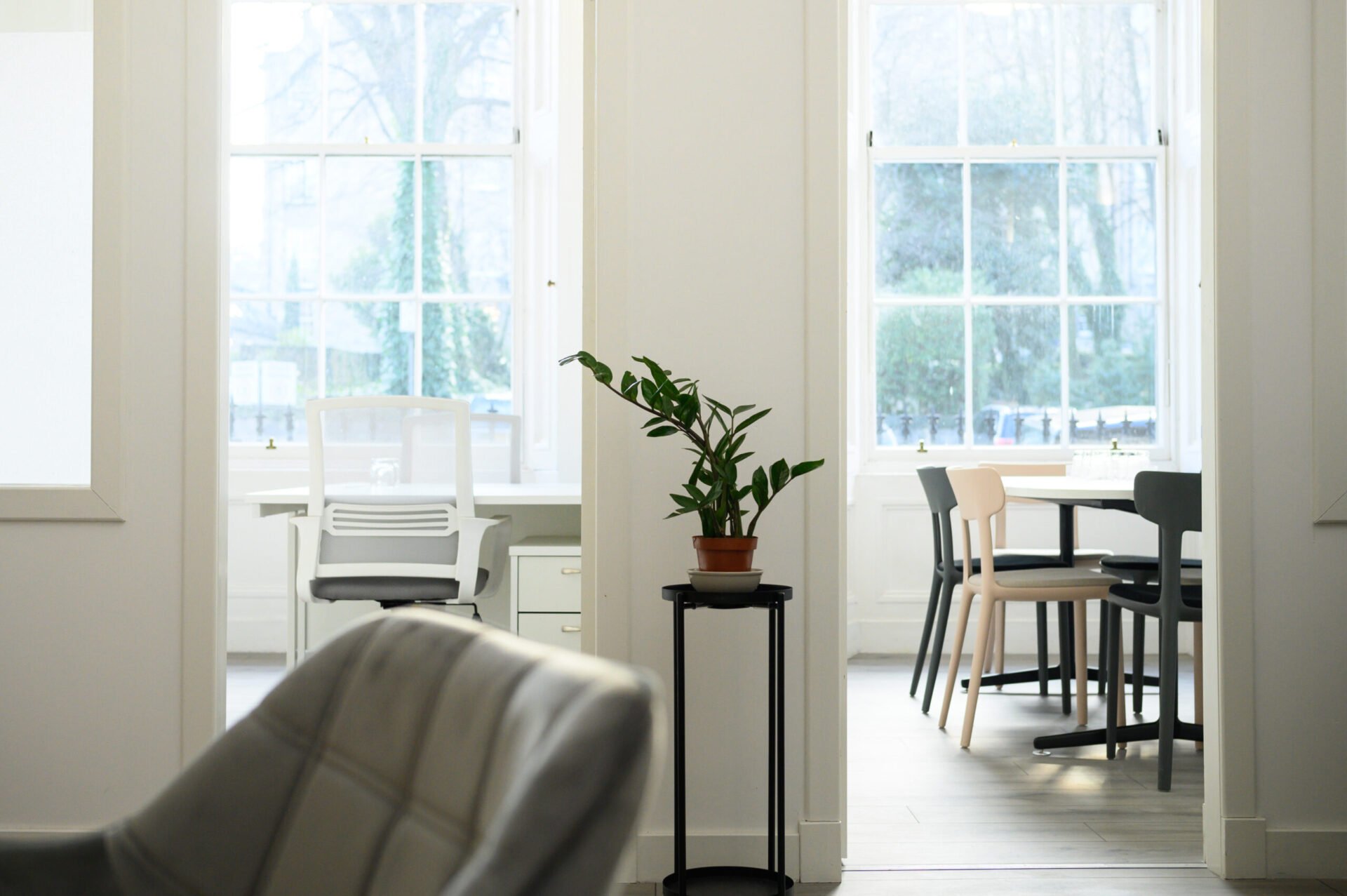 Minimalist office space with white walls and large windows. A green plant sits on a tall black stand in the center. The room is divided into sections with desks and chairs, creating a bright, open atmosphere.