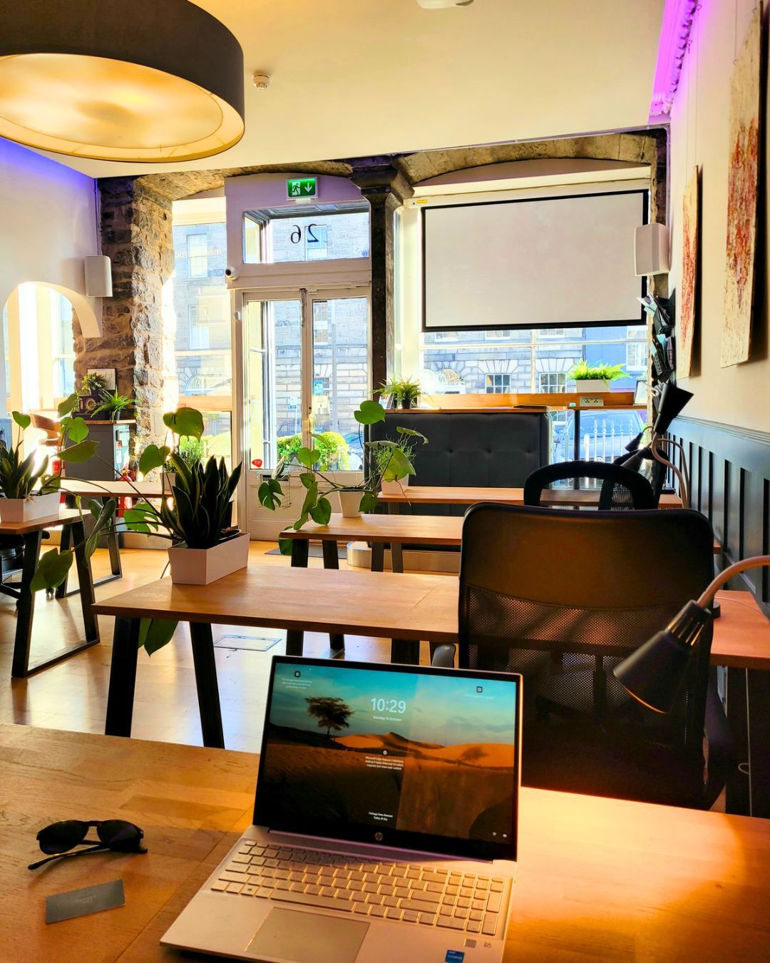 Located at 14 Albany Street, this cozy cafe features wooden tables, potted plants, and modern decor. A laptop displaying a desktop screen is on one table alongside sunglasses. Sunlight filters in through large windows, creating a warm, inviting atmosphere.