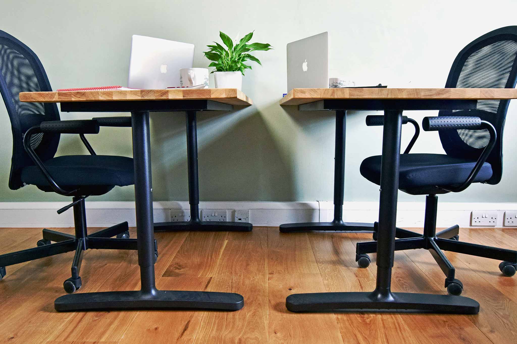 Two wooden desks with black office chairs face each other on a wooden floor at 14 Albany Street. Each desk has a laptop and a white mug. A green plant sits in the center, creating a shared workspace ambiance against the light green wall.