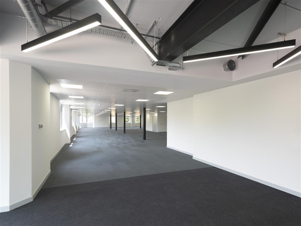 Spacious, modern office interior with empty carpeted floors, white walls, and exposed metal beams. Verdant views through large windows infuse the space with natural light, while the ceilings angular strip lighting enhances the bright atmosphere.