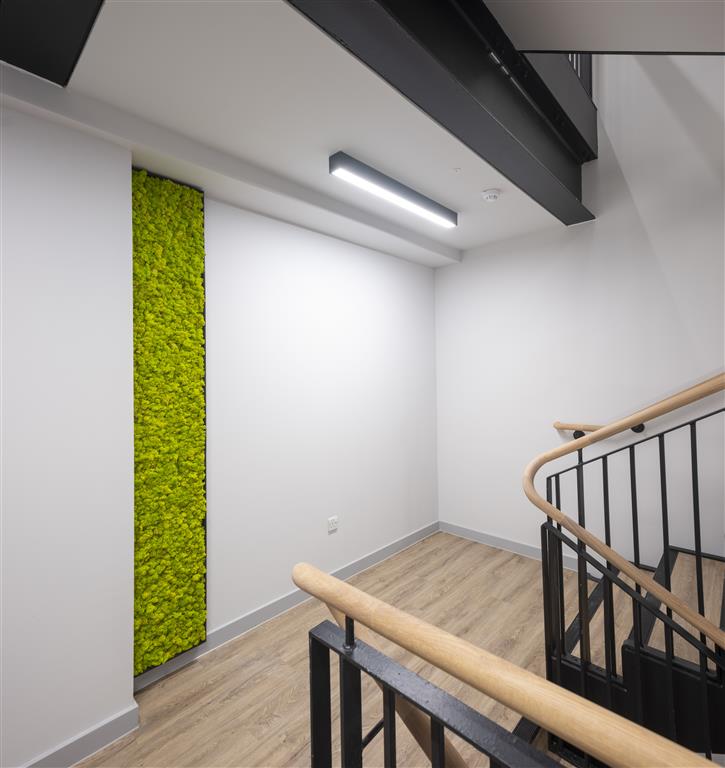 In the stairwell corner, wooden handrails and black metal balusters complement the light wood floor. The white walls are accented by a verdant vertical plant installation, while a ceiling light fixture casts a warm glow over the serene scene.