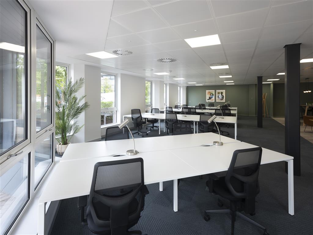 Modern office space with large windows, white desks, and ergonomic chairs. Verdant hues from the potted plant brighten the corner as natural light floods in. Desk lamps are placed strategically, adding a warm glow to this well-lit haven.