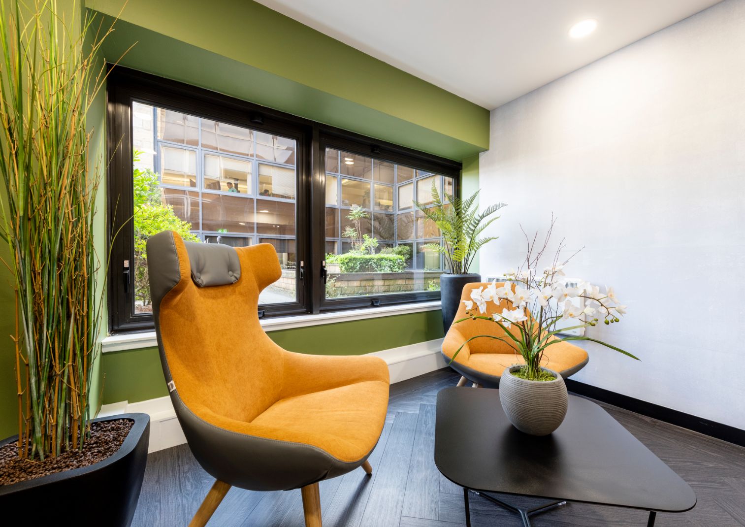 A cozy room in Edinburgh with modern furniture, featuring two orange chairs near large windows in Leith. A black coffee table holds a potted orchid. A green accent wall and tall plants add to the serene ambiance. Outside, a building and greenery are visible.