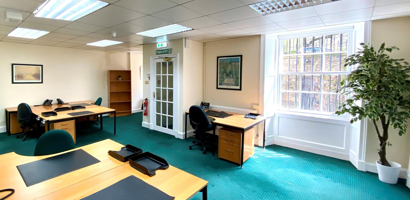 A bright office with green carpet, featuring several desks with black chairs, black desk pads, and phones. Theres a large window with natural light, a framed picture on the wall, a fire exit sign above the door, and a potted plant.